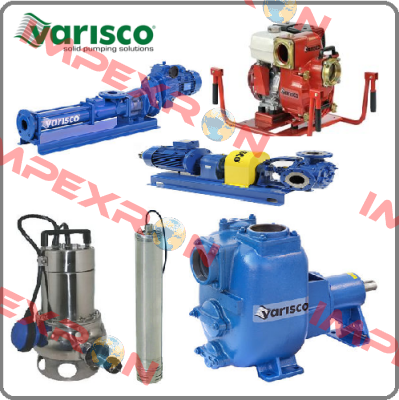 10022229  Varisco pumps