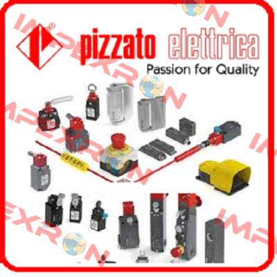 FS 2996D024 Pizzato Elettrica