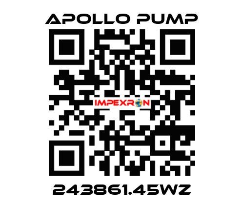 243861.45WZ Apollo pump