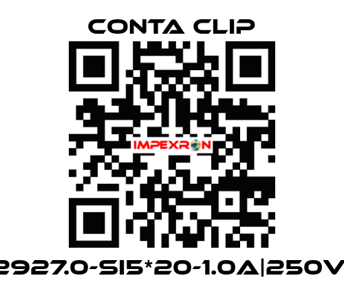 2927.0-SI5*20-1.0A|250V| Conta Clip