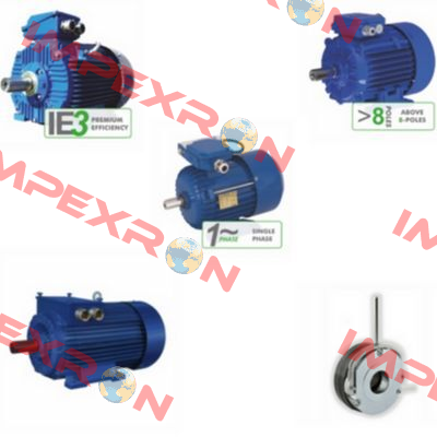 Motor with special winding Cantoni