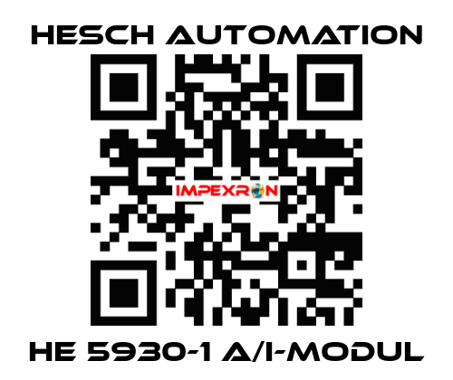 HE 5930-1 A/I-Modul Hesch Automation