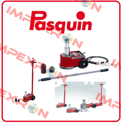 P0542 Pasquin