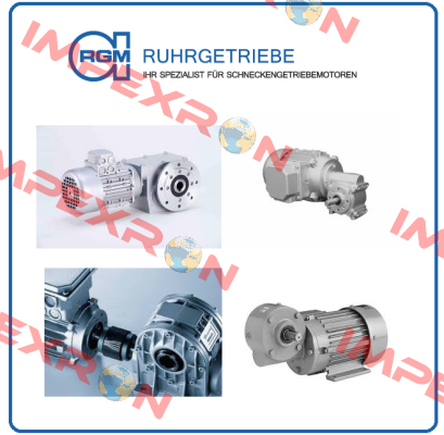 LBF56/2B-11RS Ruhrgetriebe