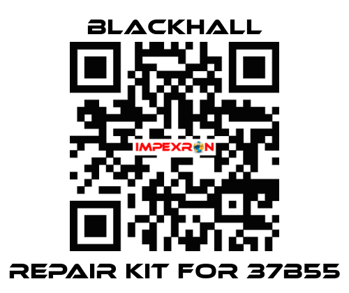 repair kit for 37B55 Blackhall