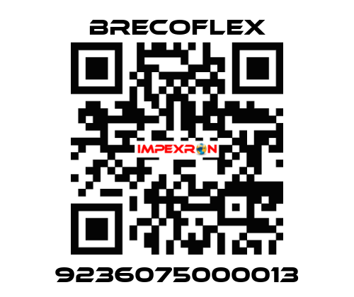 9236075000013 Brecoflex