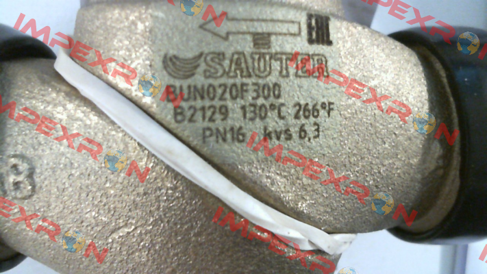 BUN020F300 Sauter