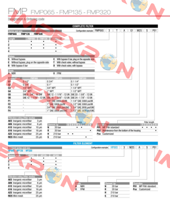 FMP-320-2-S-A-G1-A10-H-P01 MP Filtri