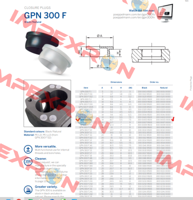 GPN 300 F 5 PT Poppelmann